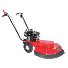 Szczotka do chwastów